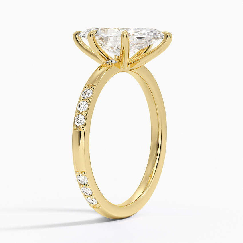 #color_yellow gold