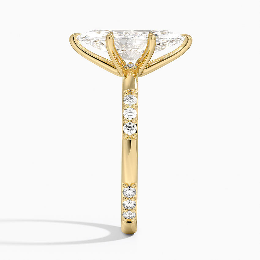 #color_yellow gold